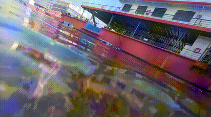 161503brhols4msz1tilro.gif