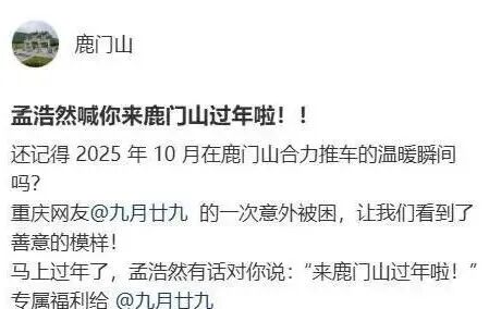 191326hununbza4825j0wu.jpeg