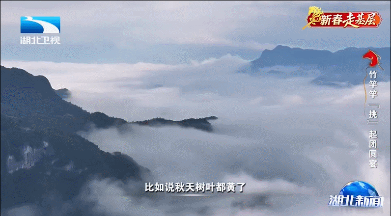 175835p1co1wdkcku1cgkk.gif