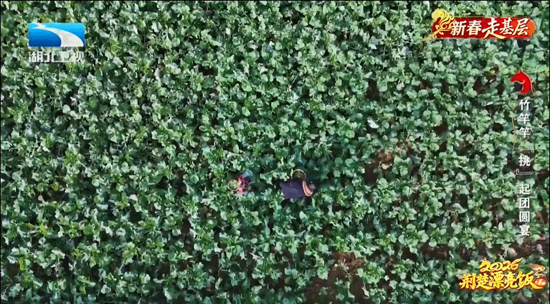 175835qodgvoopam351g4w.gif