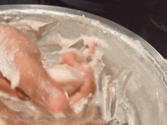 122937oc7f8222rfdffrx7.gif