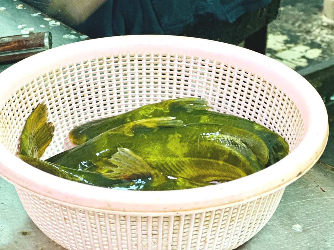 133024gboep640mllg807l.png