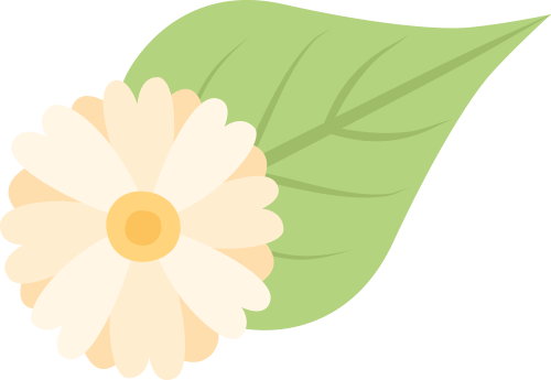171244s65xx8rf5rzj3aae.png