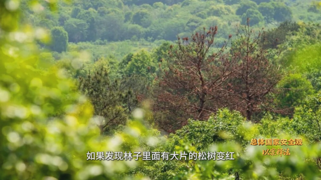 150035d32e2ne4e374acuq.png