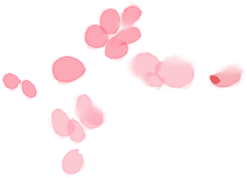 153443gl19vpk6ej2fvvvg.png