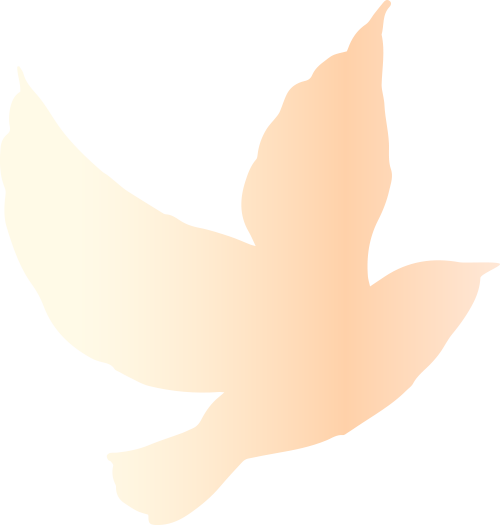 172941yivo87822u2e2ay8.png