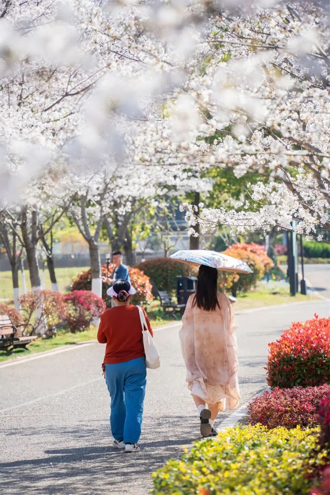 155450le3lp0k0i0niqp9s.jpeg