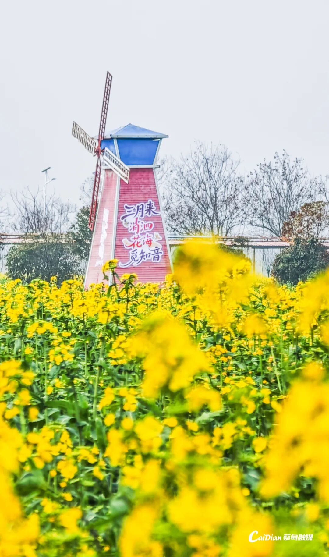 091528qkphfhzee955twhk.jpeg