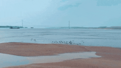 094922iz67b99b9w70yq91.gif