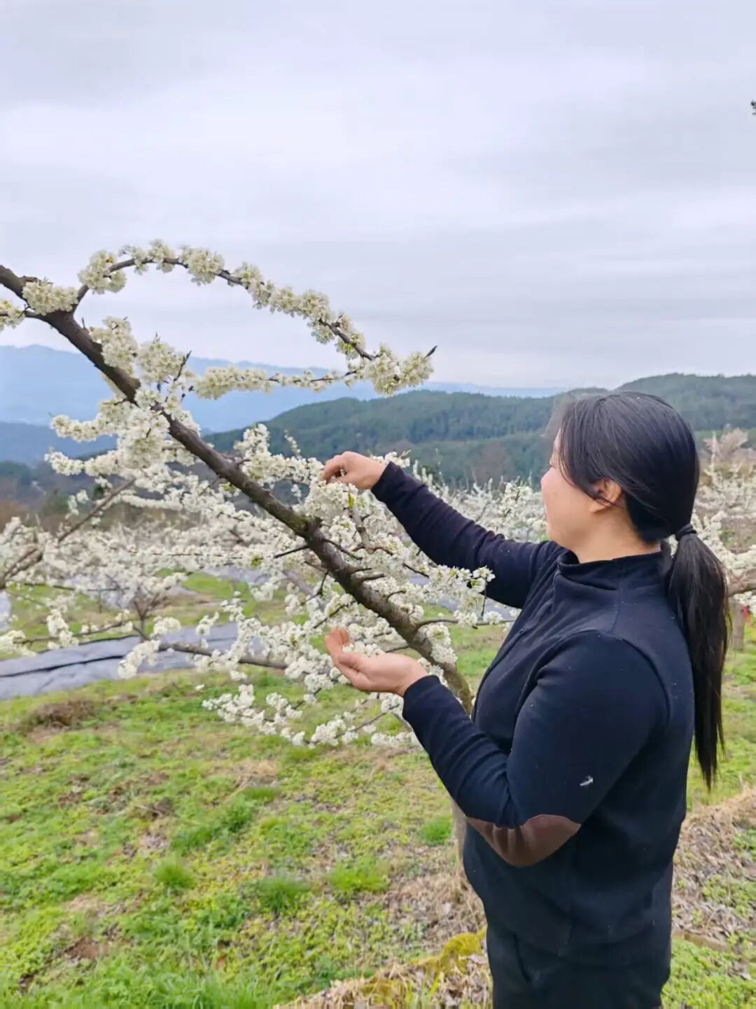 145641utta5cgn8bh5g3z5.jpeg