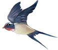 091442aywixsi0hsgwk8v3.png