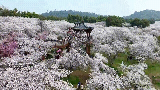 141725ueqh66z806qqg87z.gif
