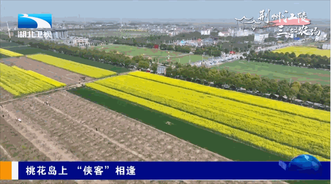 163258reilfe47owzt7wg3.gif