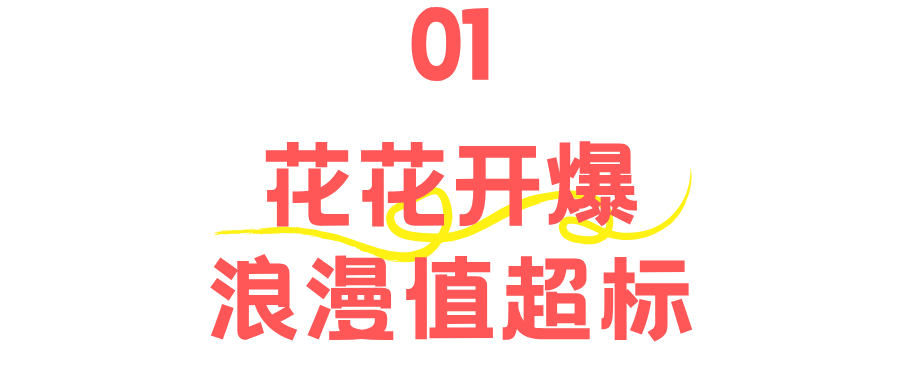 170209ympppud9qifsqqav.png