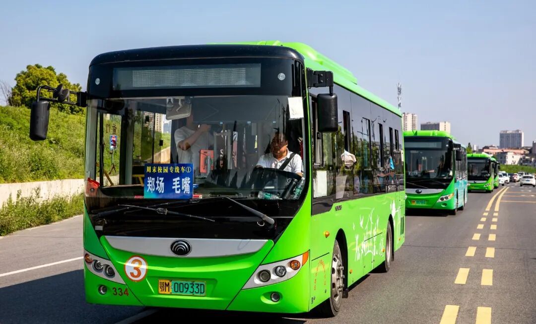 160041odzopt4ytobvdjd1.jpg