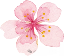 150335l7ik7skdr4dzcsv7.png