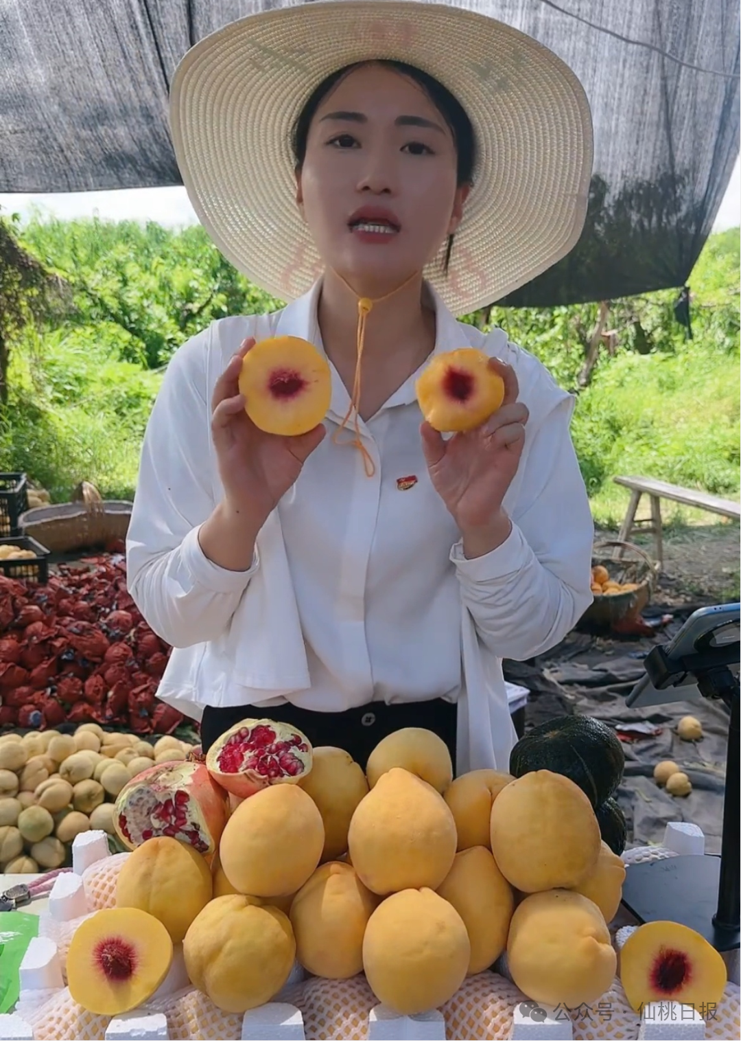 150335pjpwywwuaon7pfuo.png