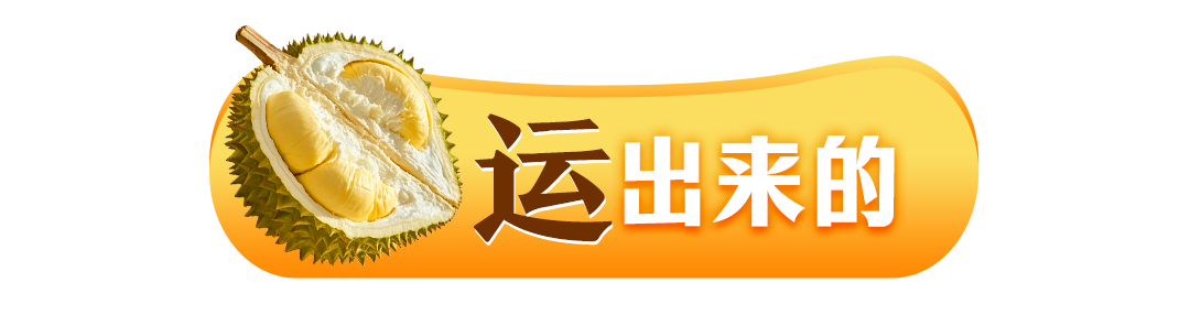 134742qx0s0umz96qmkrgm.png