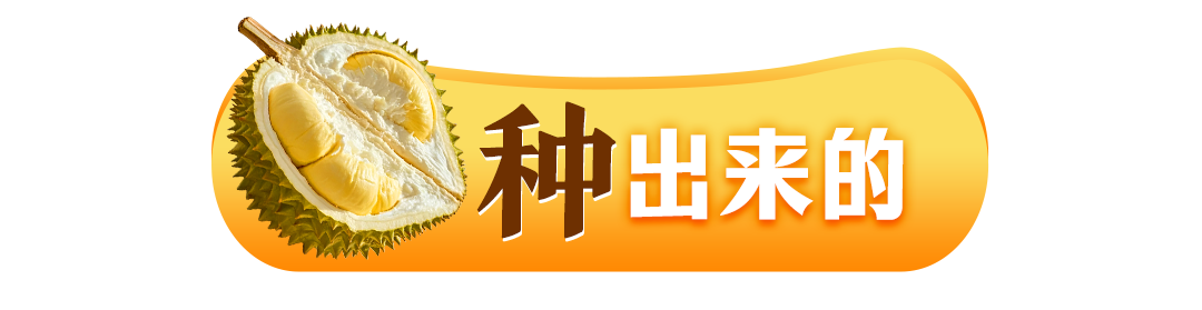 134742x19pxppcpe718yep.png