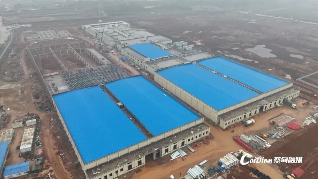 追投9亿元！蔡甸两大龙头企业同时启动二期项目