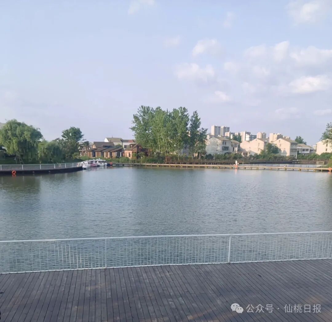 170602oelq5gk07969li0r.jpeg