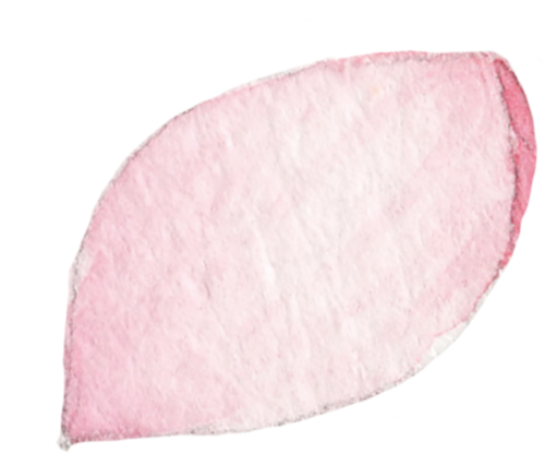 145452svnwwu0n919tv1e0.png