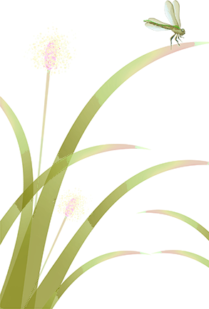 125116s1gg01myrx9xblmd.png