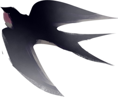 171356bkl19eptktkpip3t.png