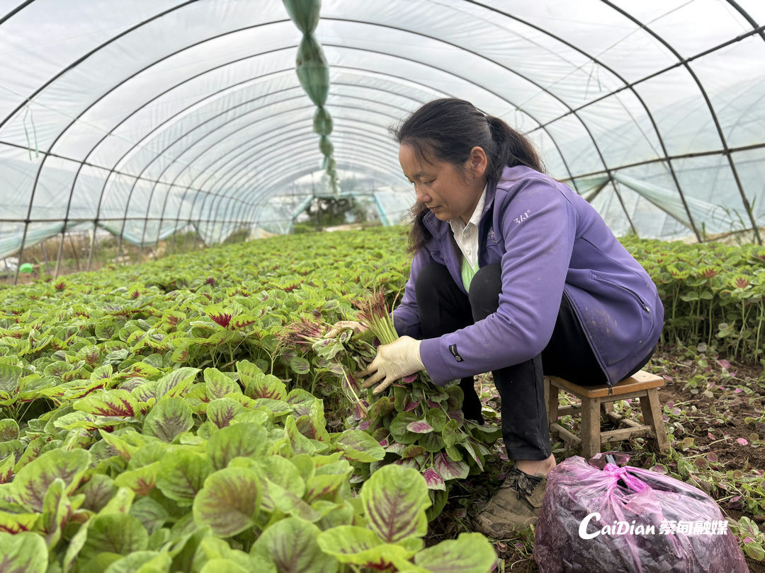 171356ks03acz57klac2l2.jpg