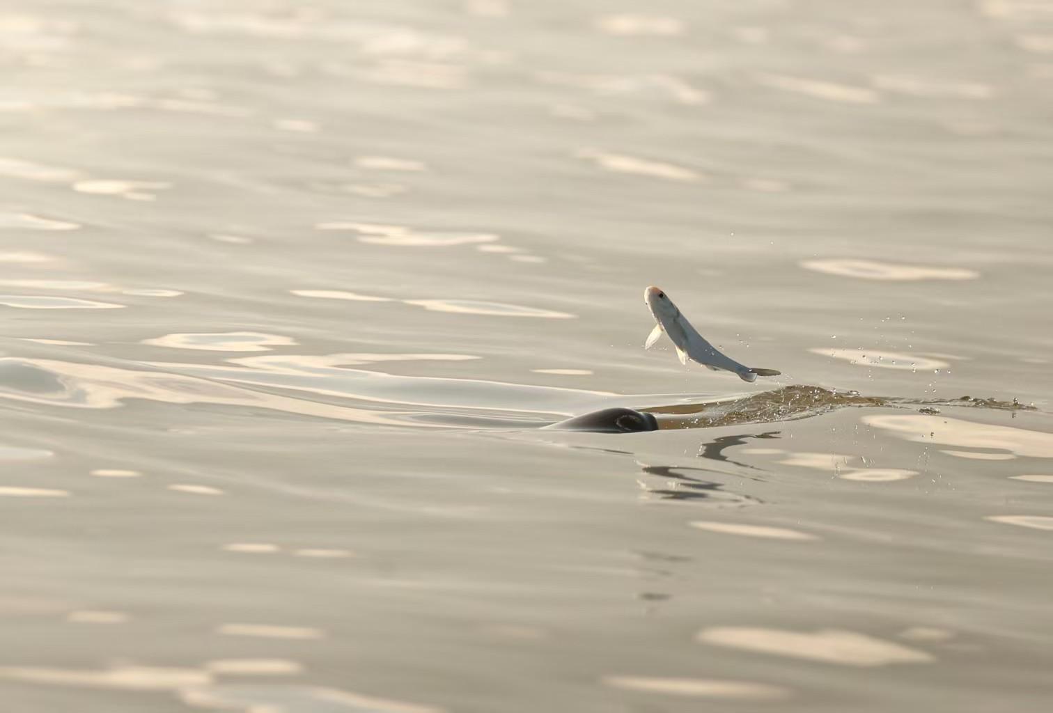 162303cx7m744dmg779dg7.jpeg