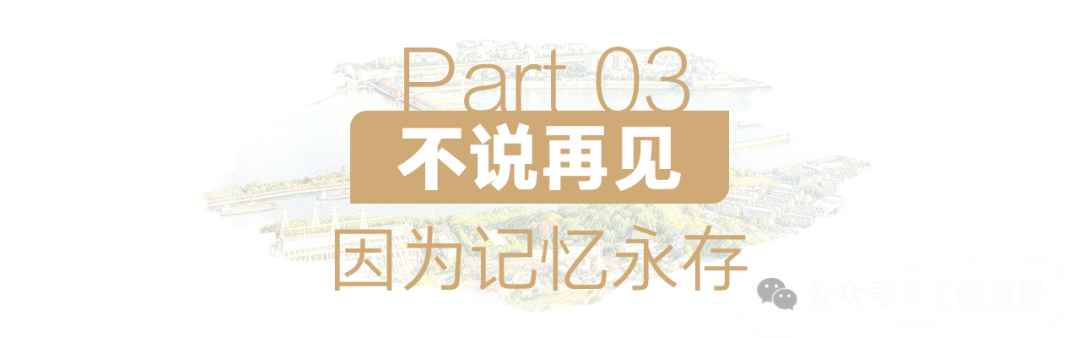 164537vko4e16zog0wgdd0.png