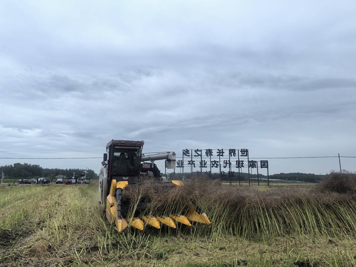 150632l0f44ks8lx75kt8l.jpg
