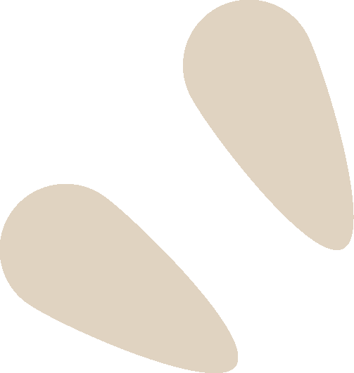 131421j257t5ntp8bjnq7q.png