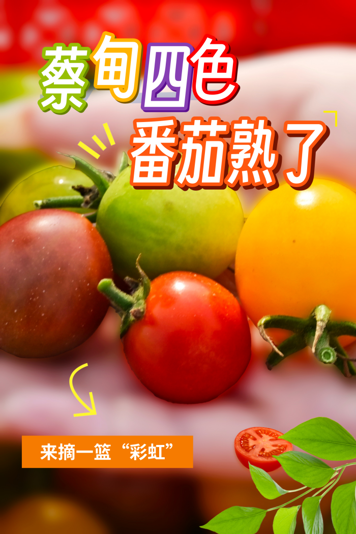 142212uk2llkecpab06m0m.png