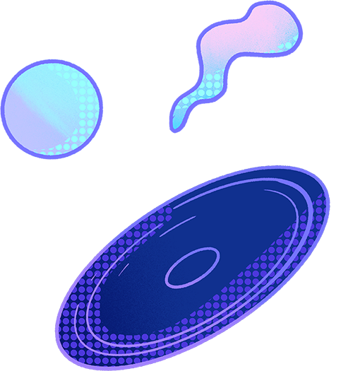 143942e9hf9s93s3pzf6y9.png
