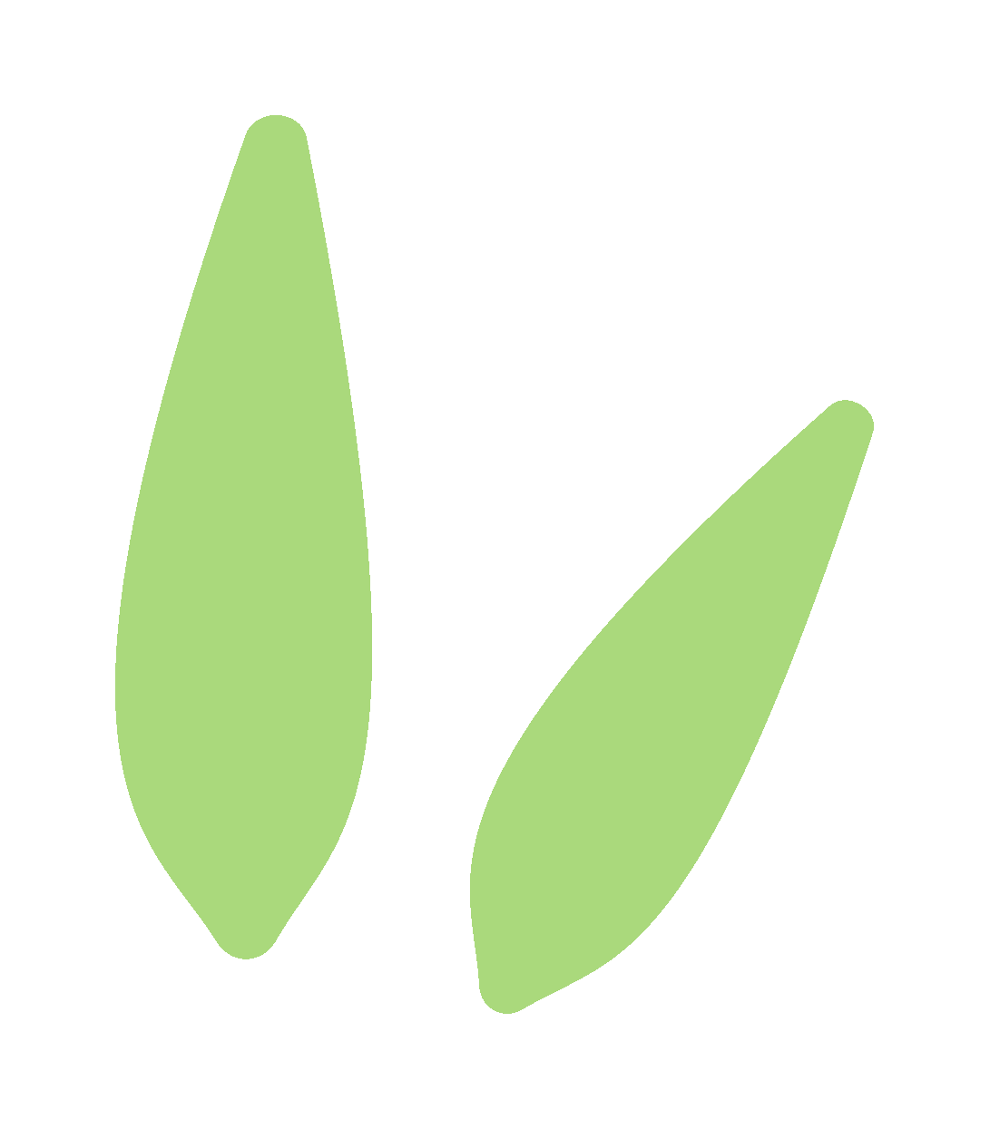 144402x1p2cpbd2rbp91zq.png