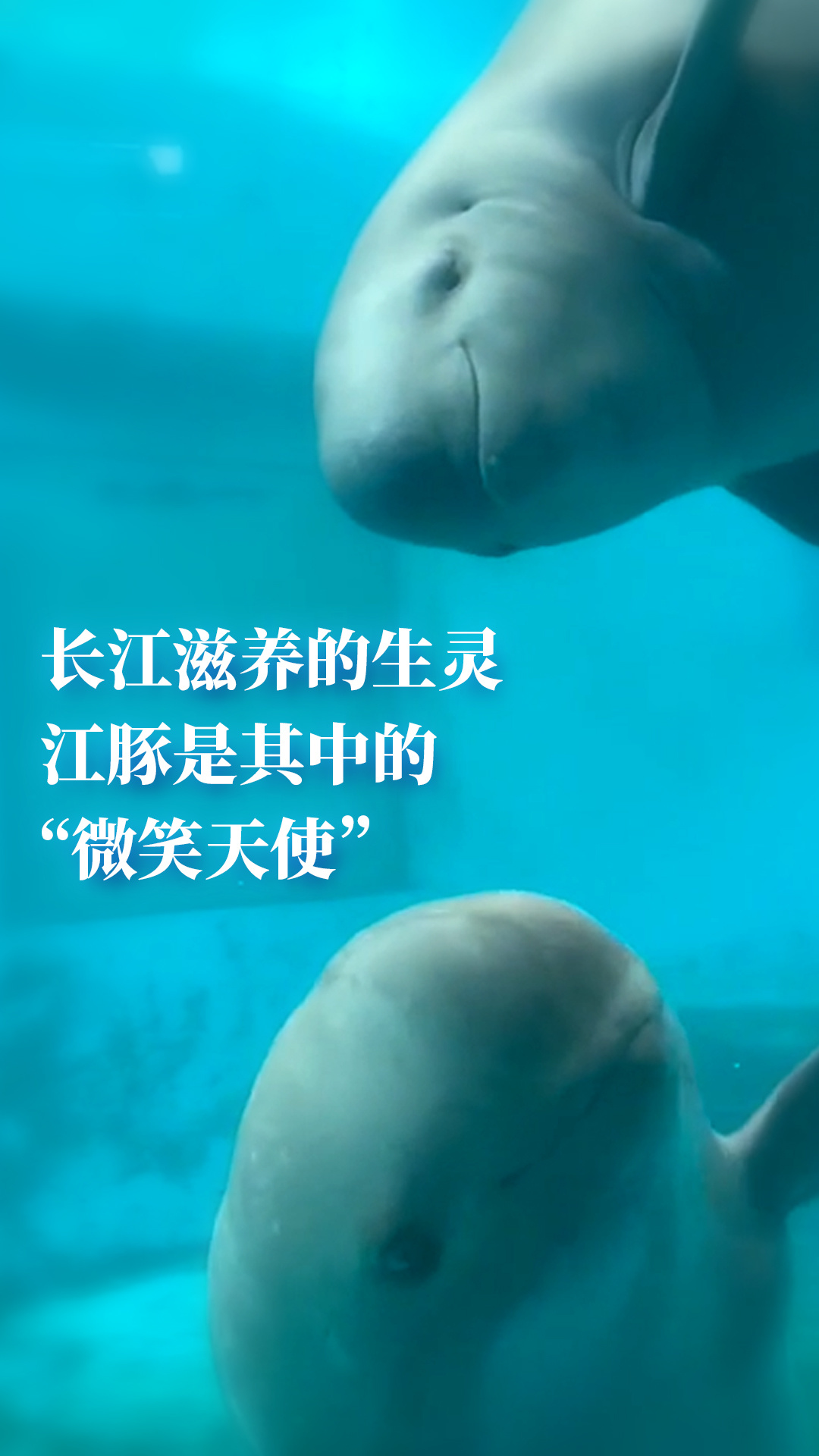 150139bxh4h218izpibyix.png