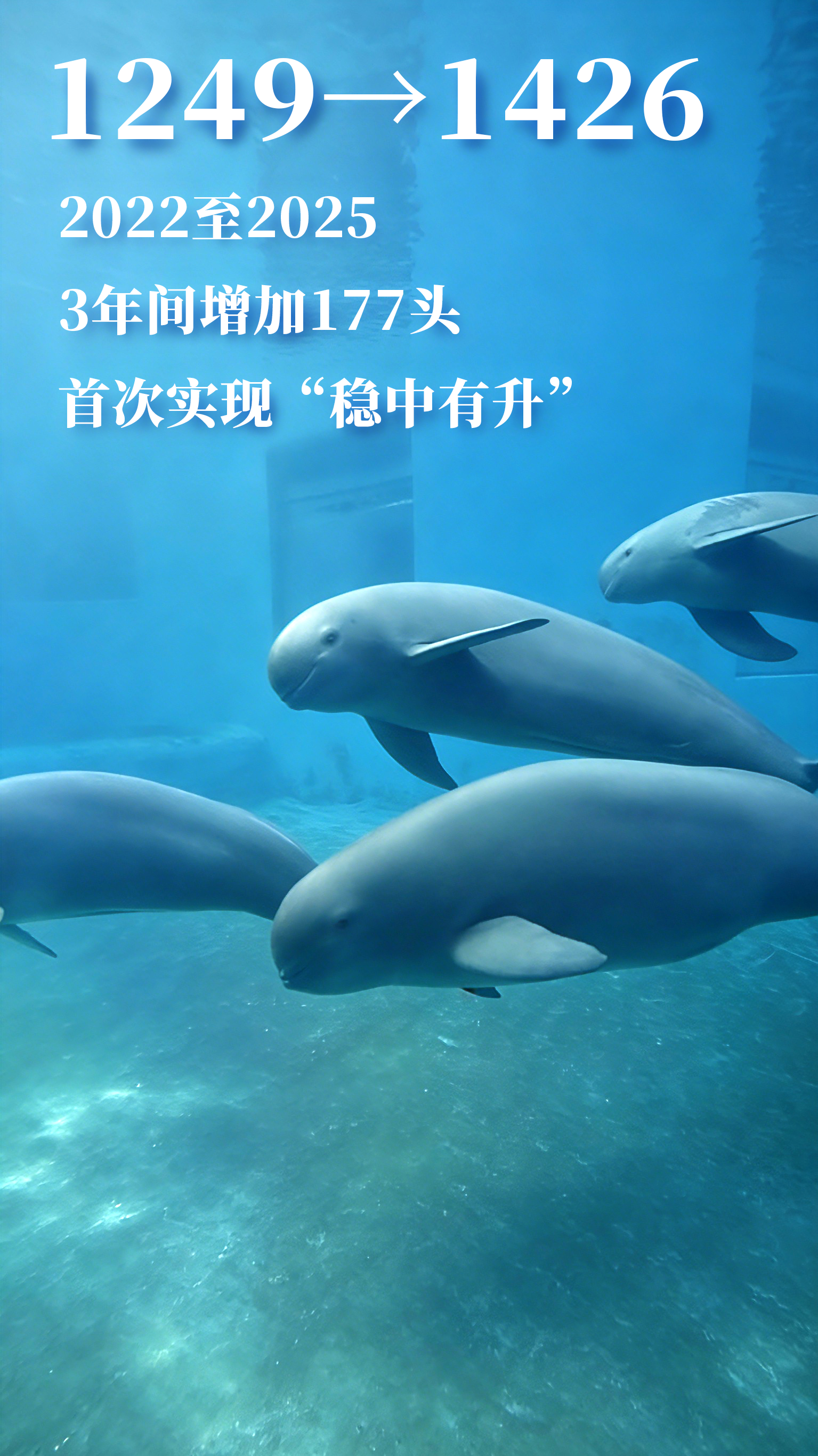 150139d464otd4gt2b12d2.png