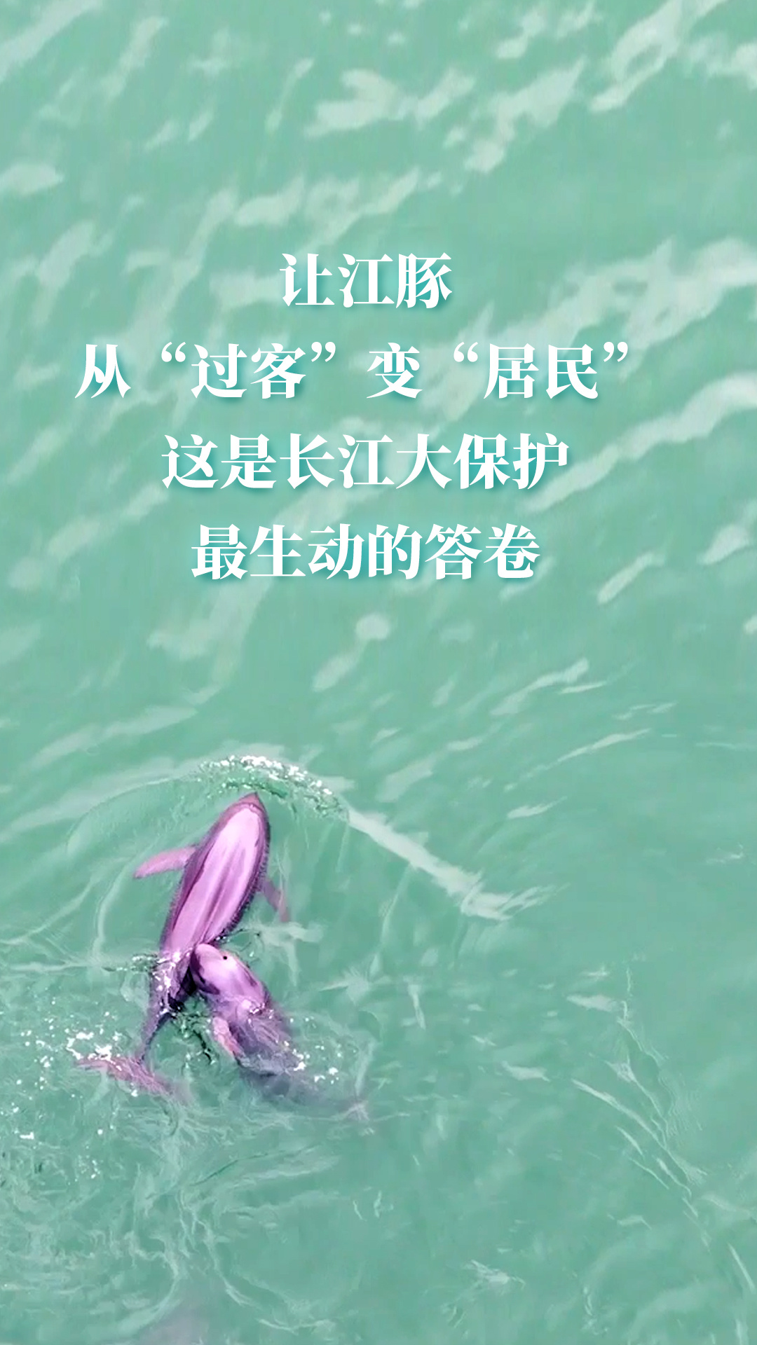 150139e3c9s4ibxb2x7z2k.png