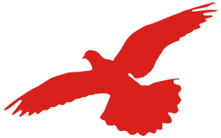 125951j222mne33837zncr.png