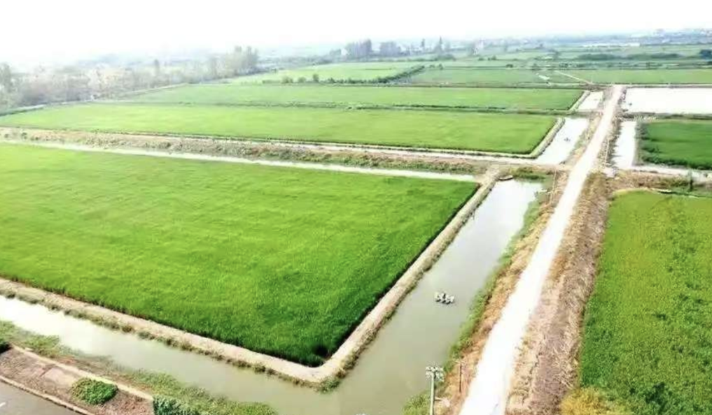 153745pt88zylg0ztc70t4.png