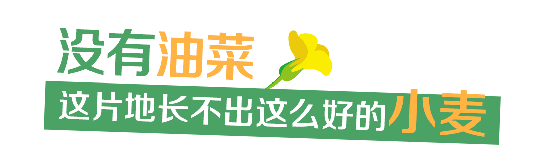 153943fbdcuudxpbvxcd71.png