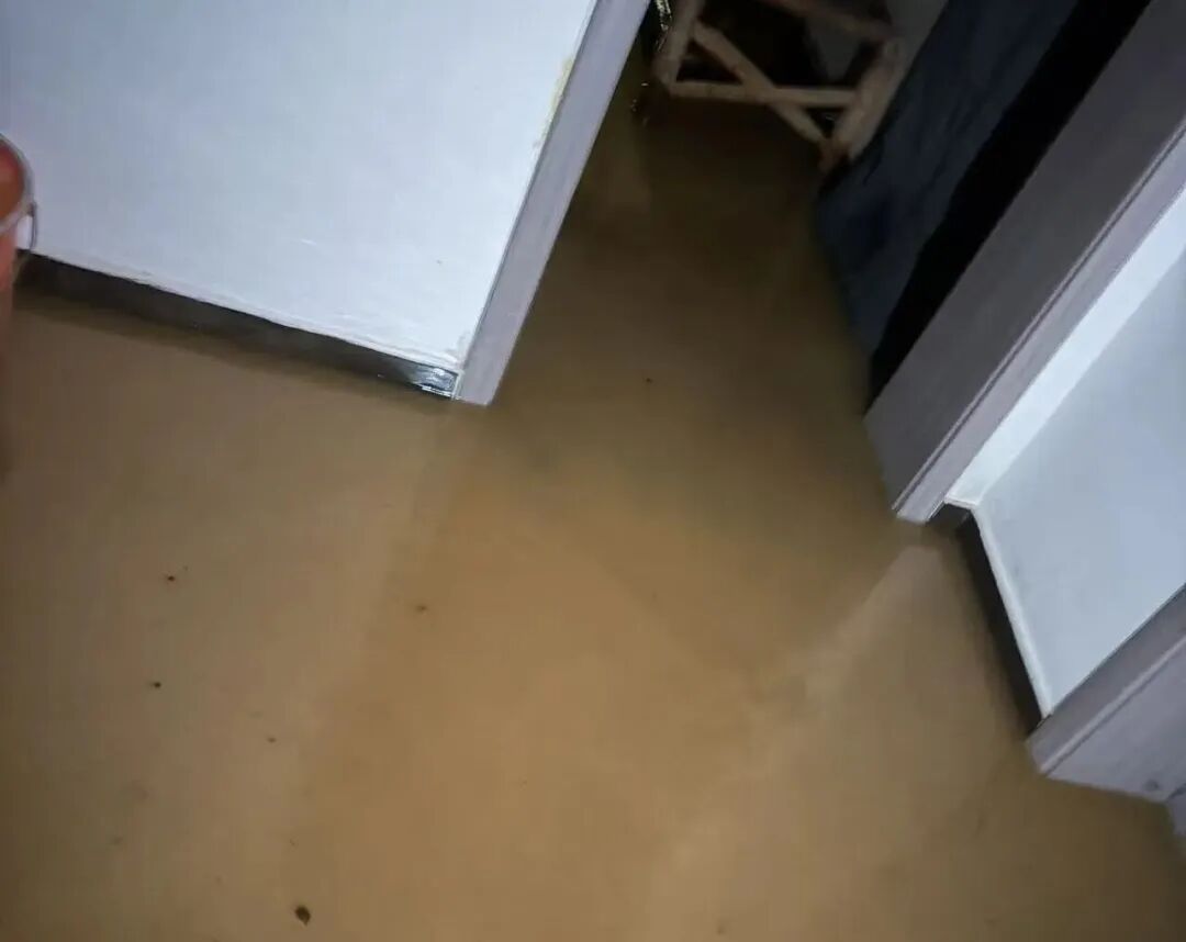170228mfjfjfvft4jfjcf4.jpeg