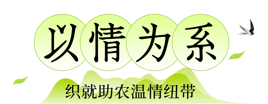 171642t51llvpfplv5tl98.png