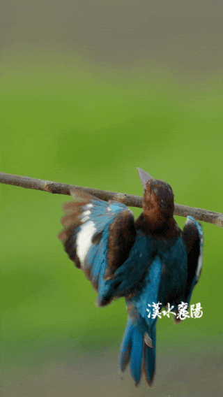 150809ds39krwtcjqy4y4q.jpg
